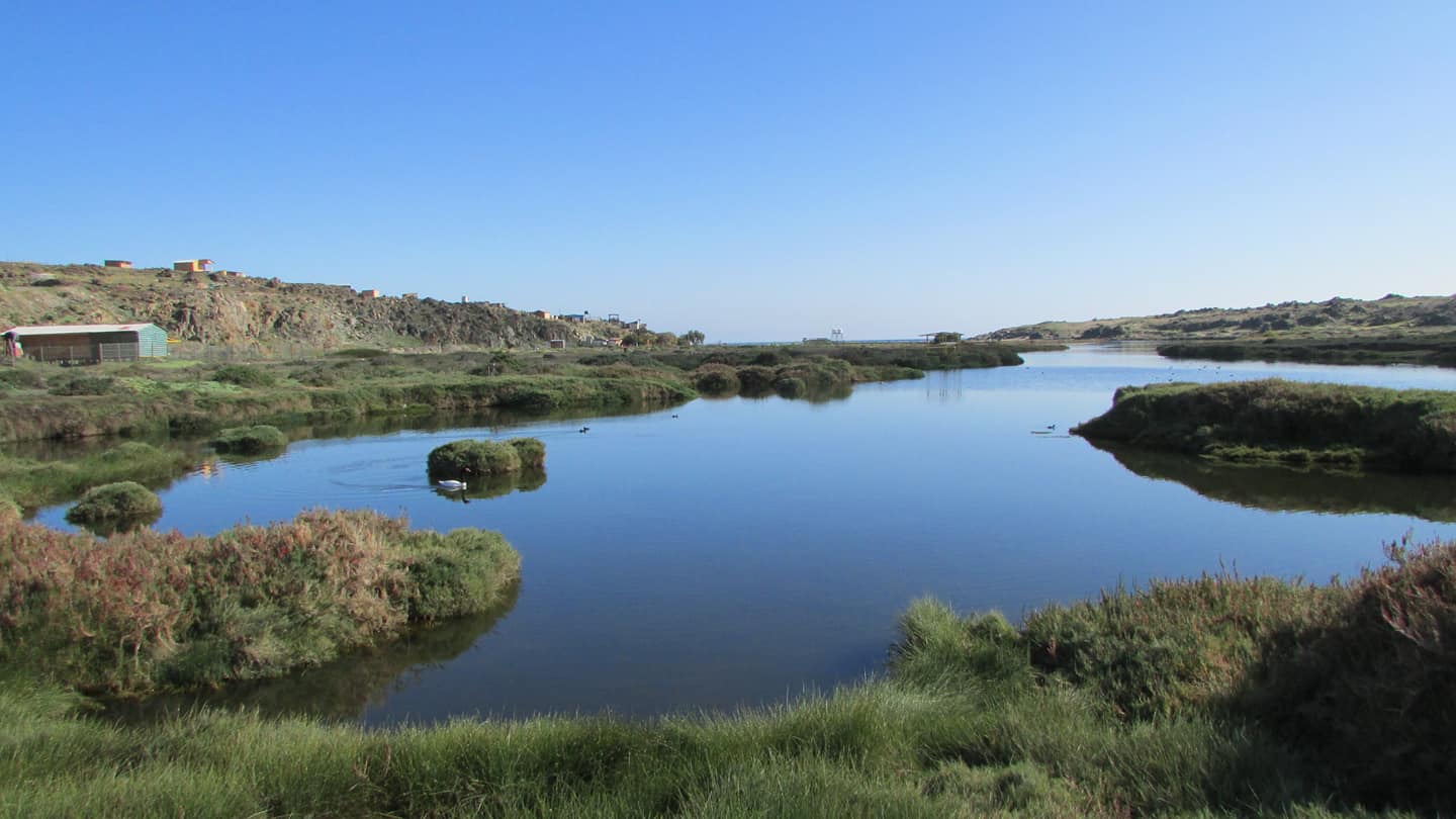 Carrizal Bajo Una Caleta con Historia ArteNorte