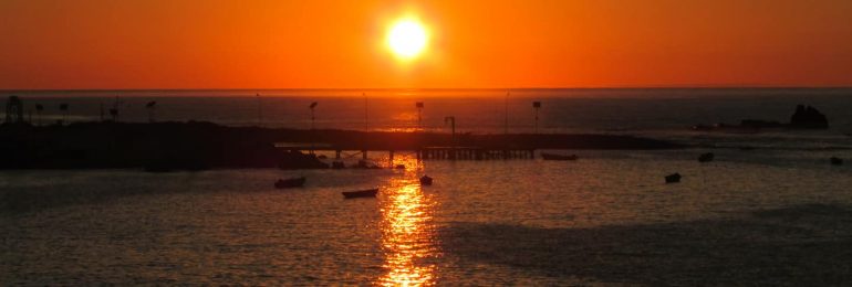 Carrizal Bajo: Una Caleta con Historia