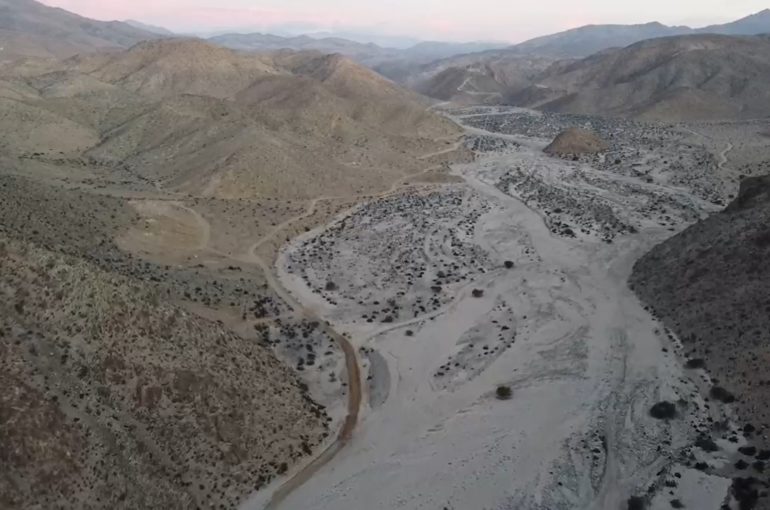 Construyen catálogo digital de la fauna de Atacama existente en tres sitios