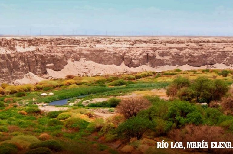 Leyendas y mitos pampinos: el Cabecita de Oro