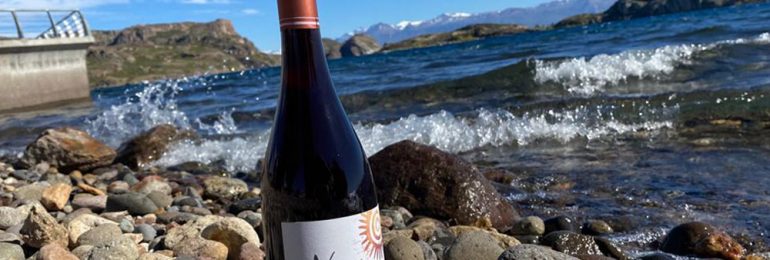 Enólogos, periodistas y especialistas de la industria del vino degustaron Keóken, el vino más austral del mundo