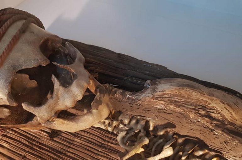 Último mes de la exitosa exposición "Chinchorro, Trascender a la Muerte" en el Museo de Vicuña
