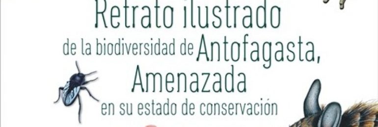 Exposición que muestra la biodiversidad y su estado actual se presentará en Biblioteca Regional de Antofagasta