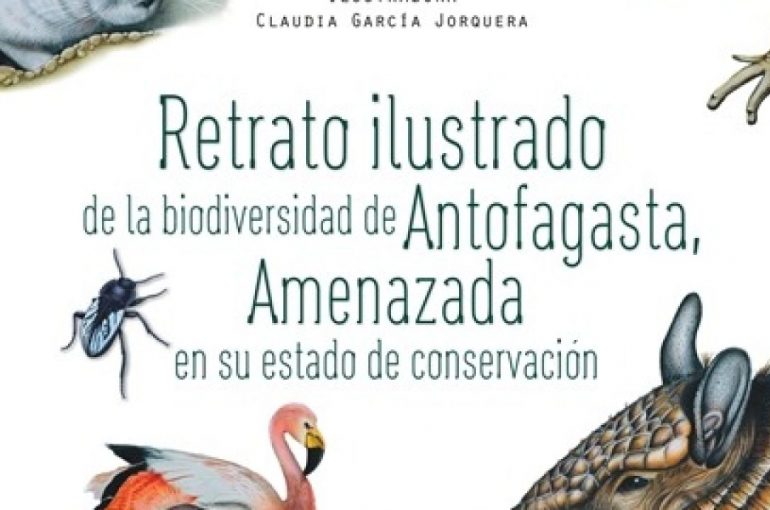 Exposición que muestra la biodiversidad y su estado actual se presentará en Biblioteca Regional de Antofagasta