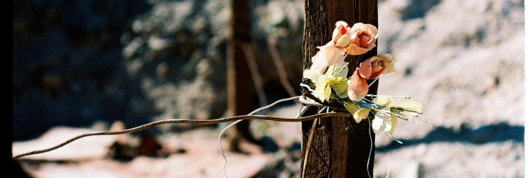 Veleidosa: La expo que establece relación entre la memoria, derechos humanos y fotografía