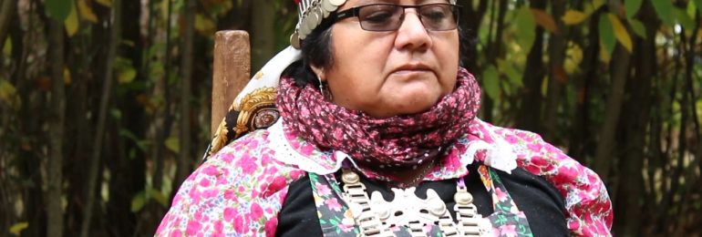 Cultora Elisa Avendaño es la primera representante de pueblos originarios en obtener el Premio Nacional de Artes Musicales