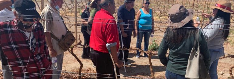 Clubes de adultos mayores de la región de Tarapacá realizaron “Tour Patrimonial”