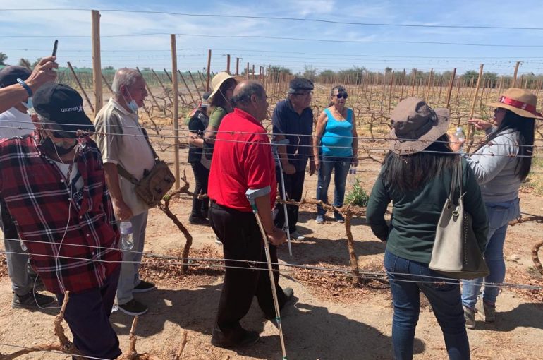 Clubes de adultos mayores de la región de Tarapacá realizaron “Tour Patrimonial”