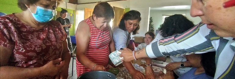 <strong>Mujeres de Tierra Amarilla cultivan hierbas y elaboran productos de medicina ancestral</strong>