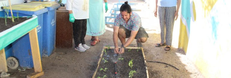 <strong>Culminó proyecto de huertos y yoga con familias de Paipote</strong>