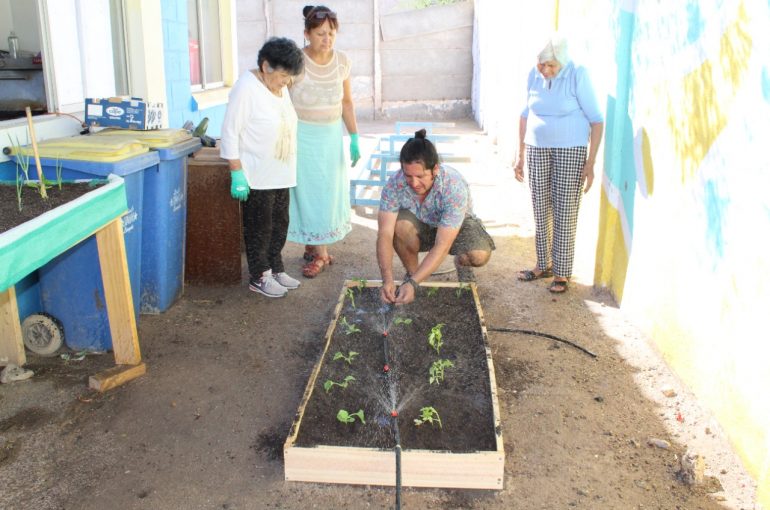 <strong>Culminó proyecto de huertos y yoga con familias de Paipote</strong>