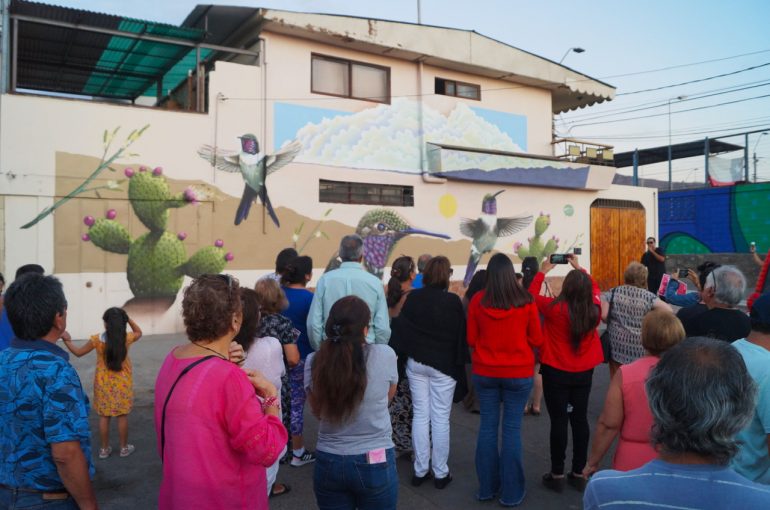 Anuncian 31 nuevos proyectos regionales ganadores de Fondart Nacional y Regional