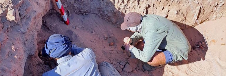 <strong>CMN concluye labores de rescate de hallazgo arqueológico prehispánico en San Pedro, Copiapó</strong>