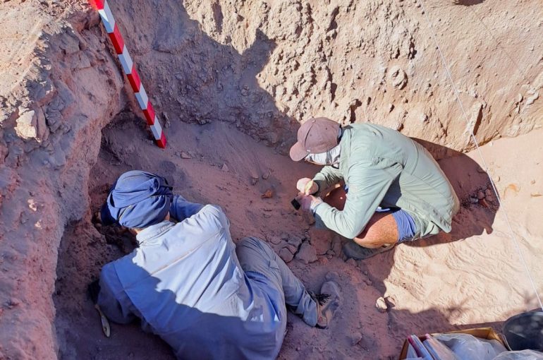<strong>CMN concluye labores de rescate de hallazgo arqueológico prehispánico en San Pedro, Copiapó</strong>