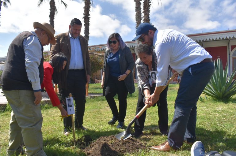 Plantan “Árboles por la Memoria” en homenaje a víctimas de la dictadura