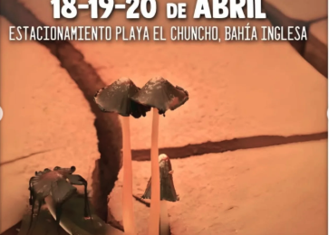 Entre el 18 y 20 de abril se realizará una nueva versión de la Feria Nacional de Artesanía de Bahía Inglesa