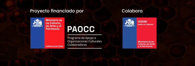 Talleres FEIM de Danza teatro y Dirección escénica en La Serena