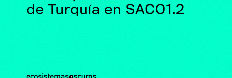 Delegación de Turquía llegará hasta Antofagasta para ser parte de la Bienal SACO1.2 Ecosistemas oscuros