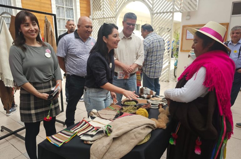 Masiva participación de los Tarapaqueños en el Día de los Patrimonios