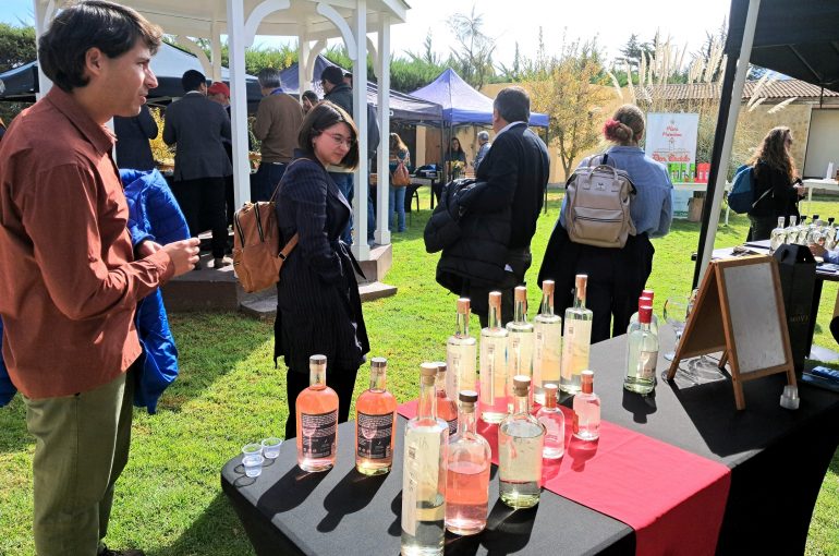 Con Seminario y Showroom de Productos celebran el Día Nacional del Pisco en Atacama
