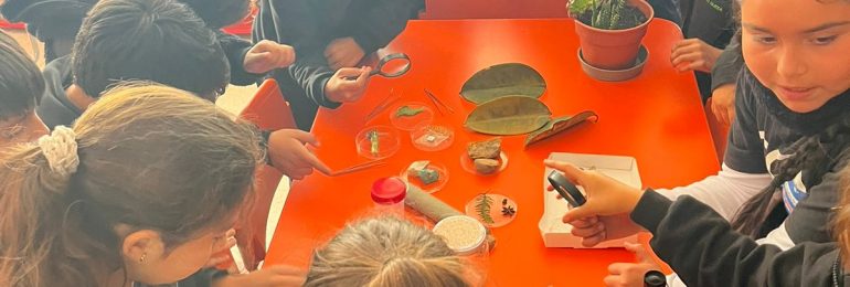 Más de 190 niños, niñas y adolescentes realizarán investigaciones e innovaciones junto a PAR Explora Atacama