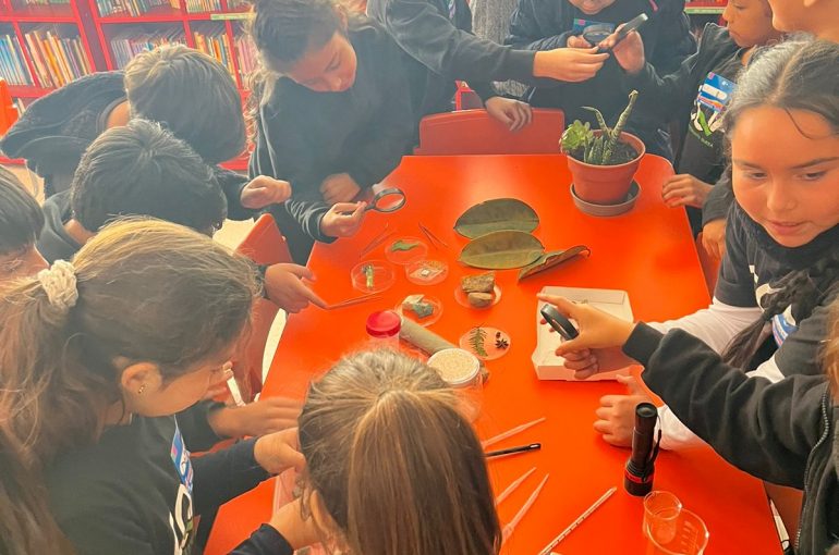 Más de 190 niños, niñas y adolescentes realizarán investigaciones e innovaciones junto a PAR Explora Atacama