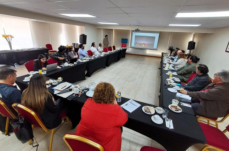 Mesa de la Industria Creativa de Atacama prepara nuevas actividades en apoyo al sector