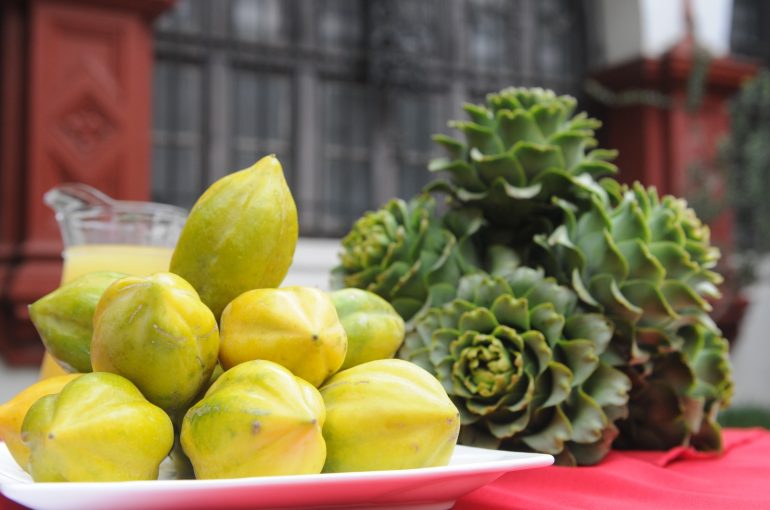 Toda la magia del campo llega a la ciudad de La Serena