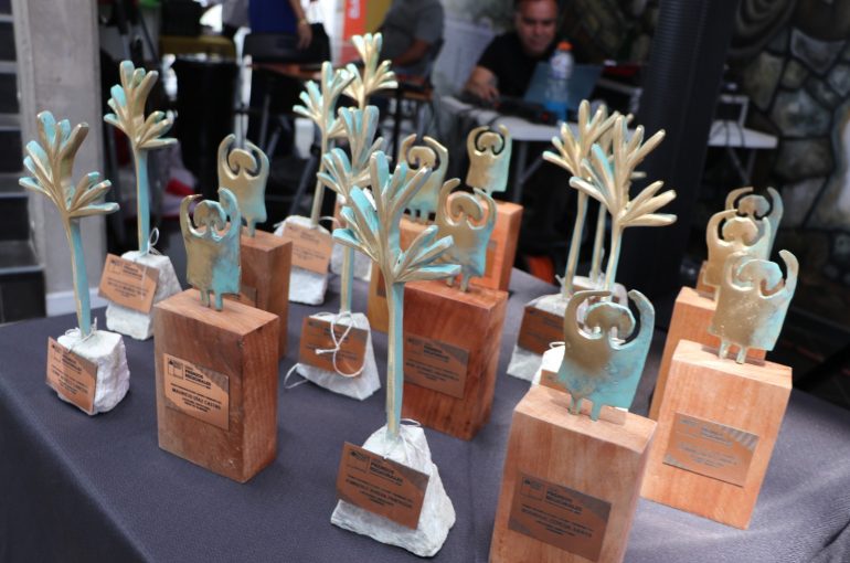 Premios Regionales de Arte, Cultura y Patrimonio 2025 reconocerán a artistas emergentes y de trayectoria en cada comuna de Atacama