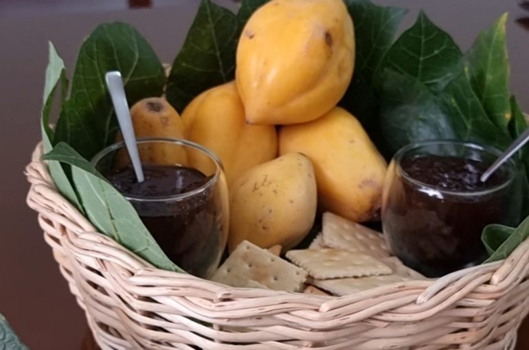 La Serena celebrará la Identidad Papayera con Feria y Concurso Gastronómico